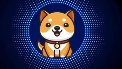 baby dogecoin price prediction