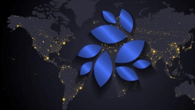 nkn price prediction