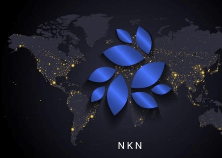 nkn price prediction