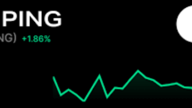 shping coin price prediction