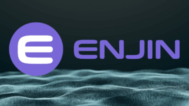 enjin coin price prediction 2030