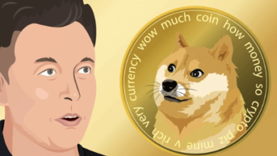 elon crypto coin price prediction