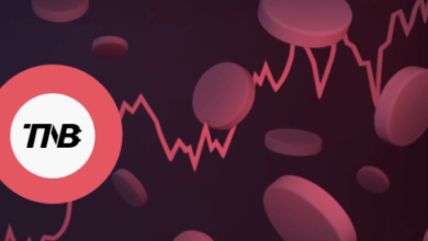 feg token price prediction