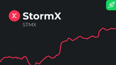 stormx price prediction