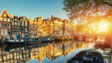 Amsterdambased Series Eetfabrieksingh Siliconcanals