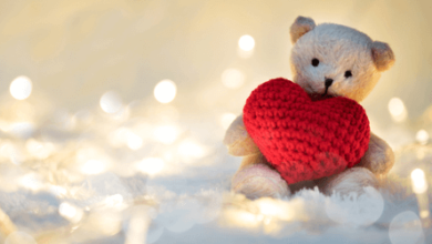 Cute:3inv7b2i8r0= Teddy Bear