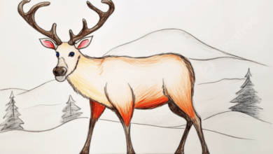 Cute:4el2zt7t0ks= Deer Drawing