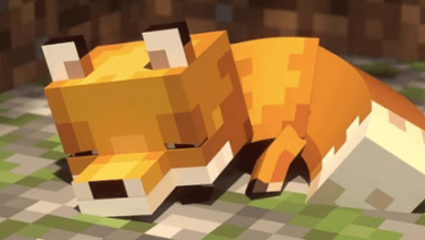 Cute:13jji6s00ek= Minecraft