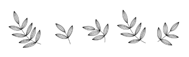 Outline:1katqdk7ygw= Leaf Clip Art