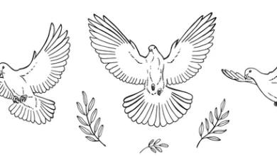 Outline:9gzdgtjapku= Dove Tattoo