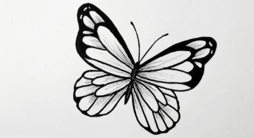 Simple:4m1au_G6ucq= Butterfly Drawing