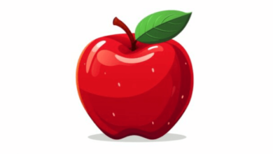 Clipart:Kptnpg_7hxw= Apple