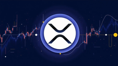 How XRP Price Has Evolved: A Look at Its History and Future