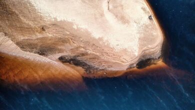 alefudoli s key attributes highlighted