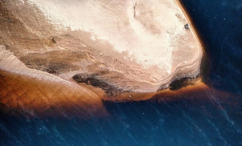 alefudoli s key attributes highlighted