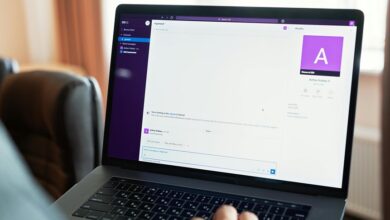 brian chavez profile details