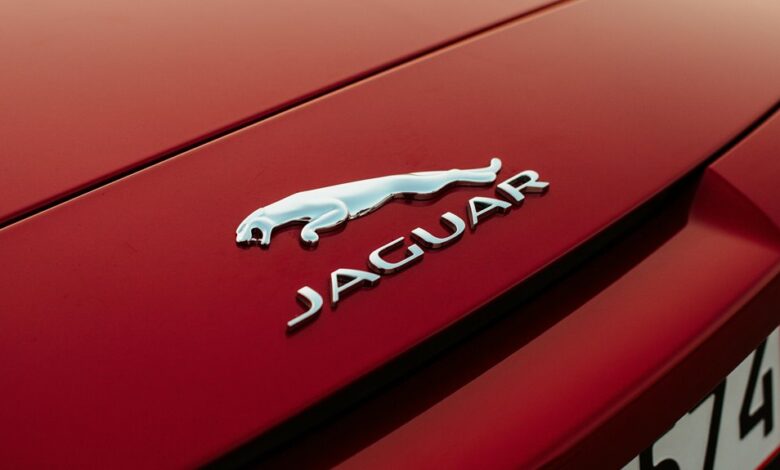 cofemel product features overview