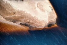 construmadeira overview and features