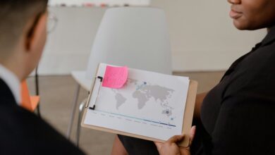 executive sector data analysis