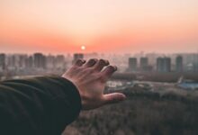 amplify reach lens horizon