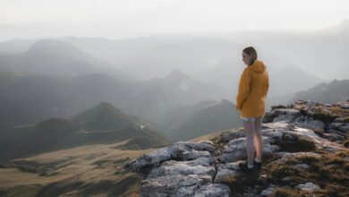 elevate conversions prism horizon