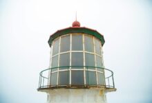 expand online lens beacon