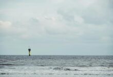 optimize audience beacon horizon