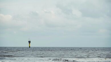 optimize audience beacon horizon