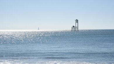 optimize performance horizon beacon