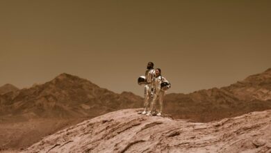 pioneer reach 6145916655 prism horizon