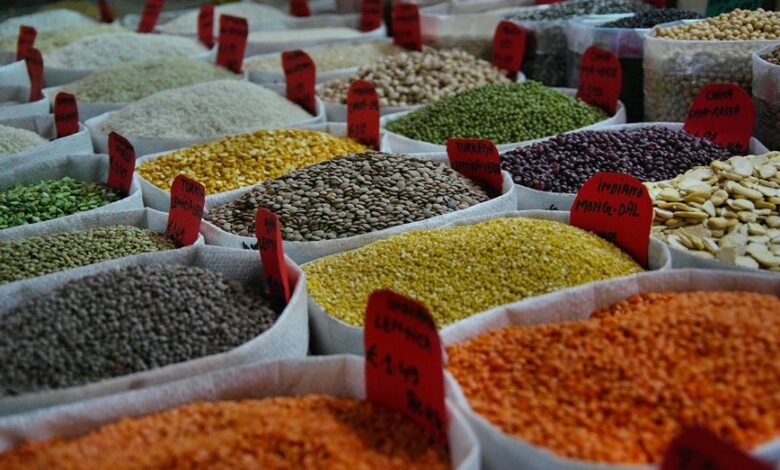 pulse lens market optimization 6098082255