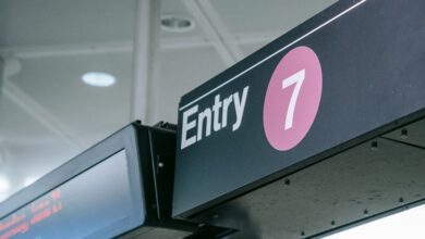 advanced entry review ids and names listed