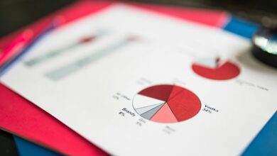 data verification report identifiers listed