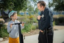 identifier and safety check details