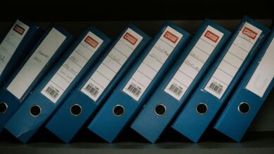 system file verification details captured