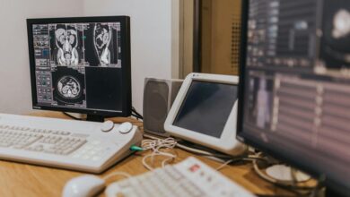 system record scan identifiers and versions