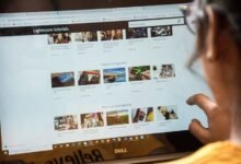 beginner guide to digitalrgs org