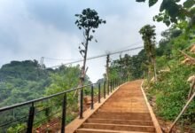 panarasss8 step by step guide