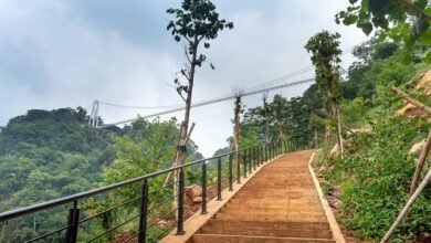 panarasss8 step by step guide